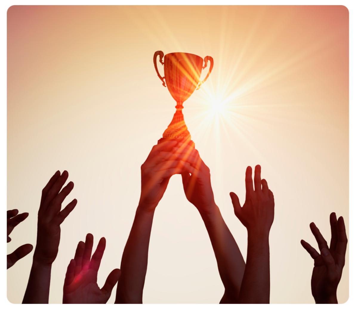 Award Winning Campaign